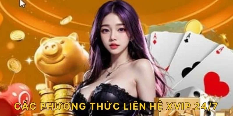 Các phương thức liên hệ XVIP 24/7