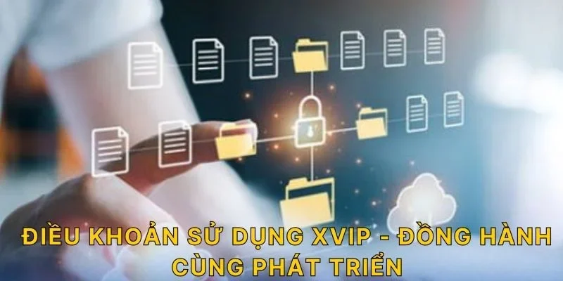 Điều khoản sử dụng XVIP - Đồng hành cùng phát triển!