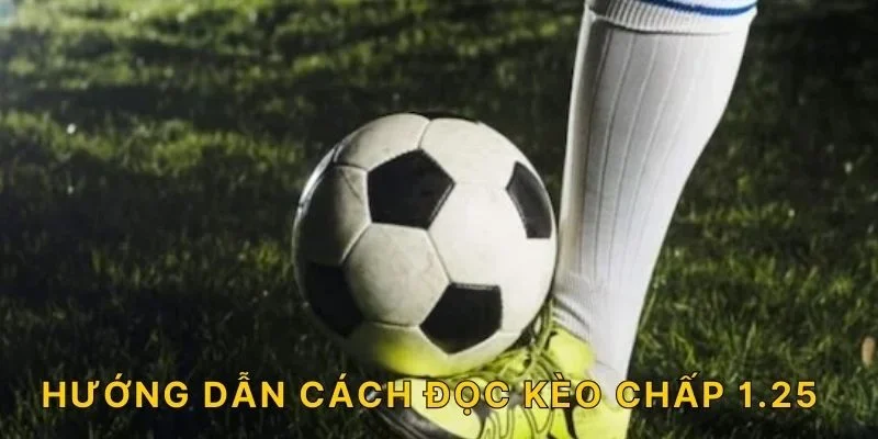 Hướng dẫn cách đọc kèo chấp 1.25