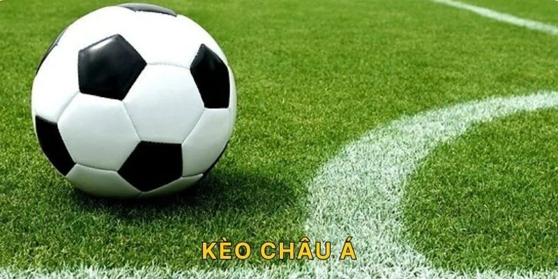 kèo châu á tại nhà cái bootcamper.io