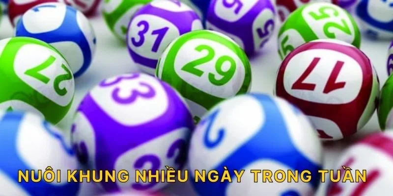 Nuôi khung nhiều ngày trong tuần