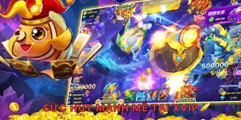 Sức hút mạnh mẽ tại XVIP