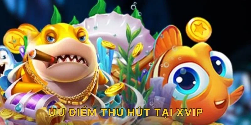 Ưu điểm thu hút tại XVIP